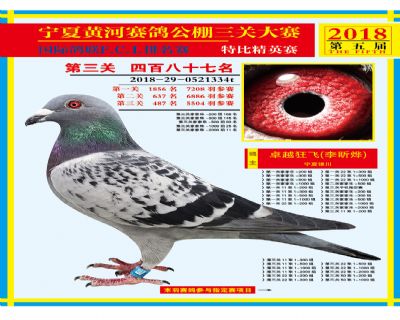 宁夏黄河决赛487名