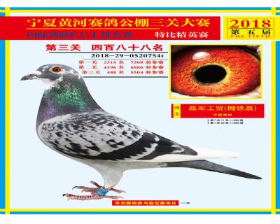 宁夏黄河决赛488名