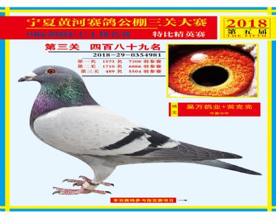 宁夏黄河决赛489名