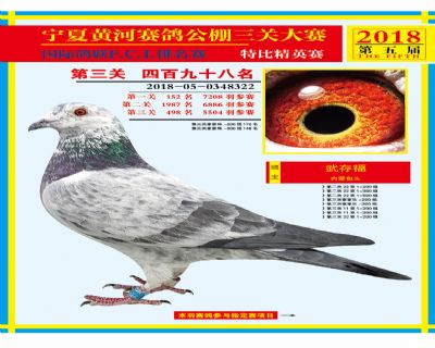 宁夏黄河决赛498名