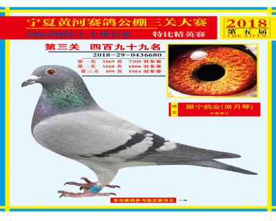 宁夏黄河决赛499名