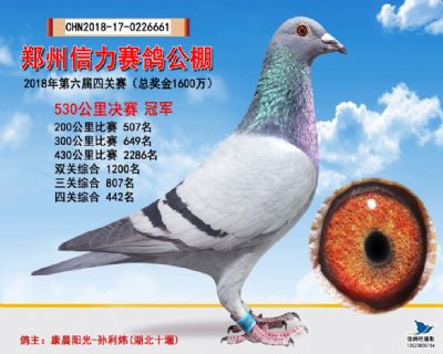 郑州信力决赛冠军