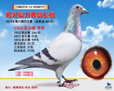 郑州信力决赛季军