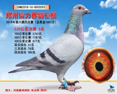 郑州信力决赛6名