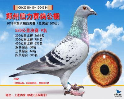郑州信力决赛9名
