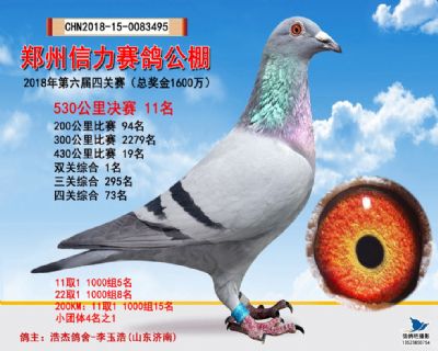 郑州信力决赛11名
