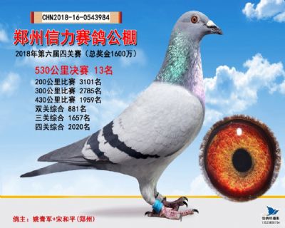 郑州信力决赛13名