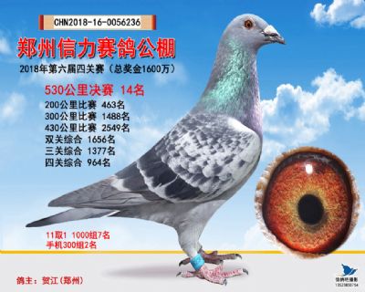 郑州信力决赛14名