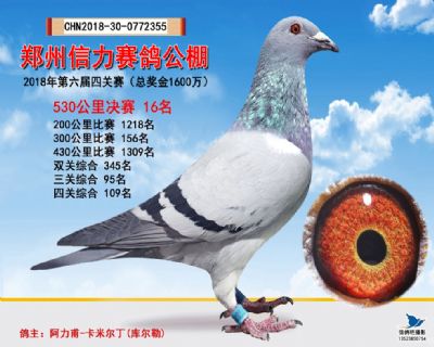 郑州信力决赛16名