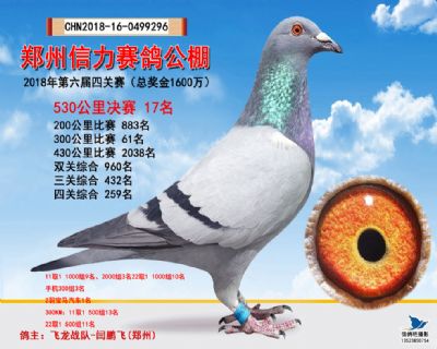 郑州信力决赛17名