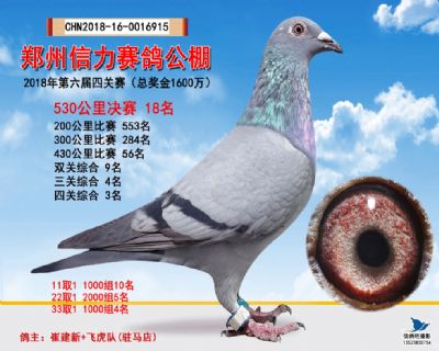 郑州信力决赛18名