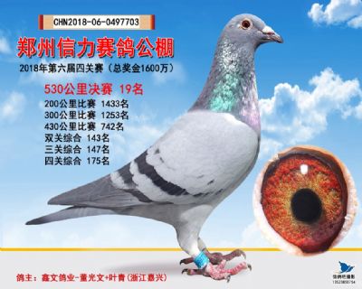 郑州信力决赛19名