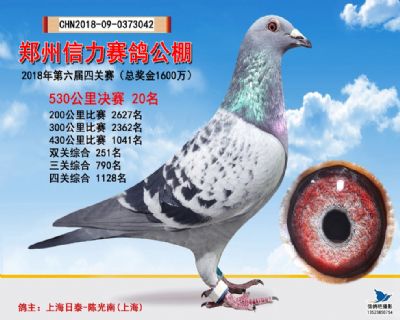 郑州信力决赛20名
