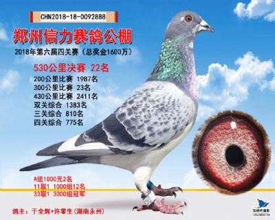 郑州信力决赛22名