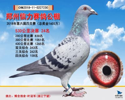 郑州信力决赛24名