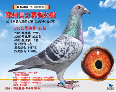 郑州信力决赛25名