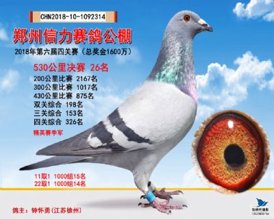 郑州信力决赛26名