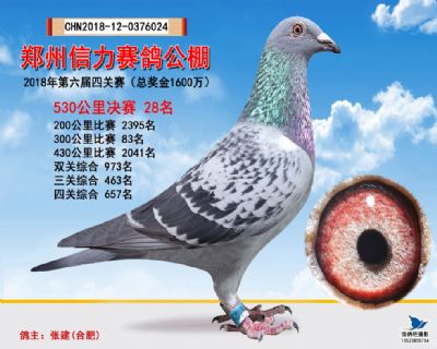 郑州信力决赛28名