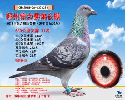 郑州信力决赛31名