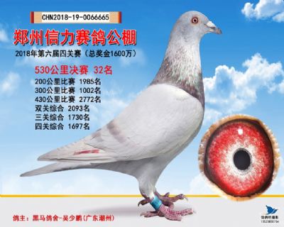 郑州信力决赛32名