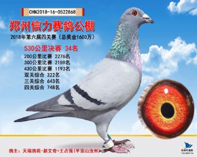 郑州信力决赛34名