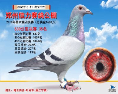 郑州信力决赛35名