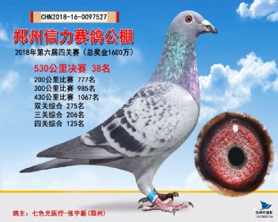 郑州信力决赛38名
