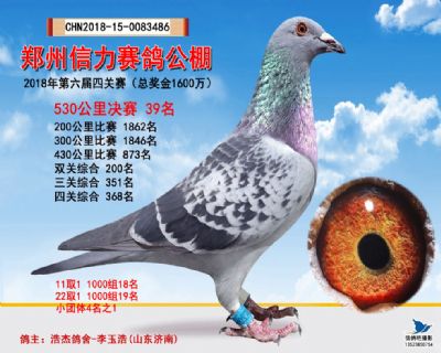 郑州信力决赛39名