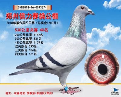 郑州信力决赛40名