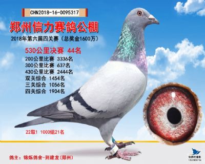 郑州信力决赛44名