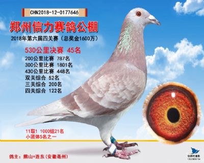 郑州信力决赛45名