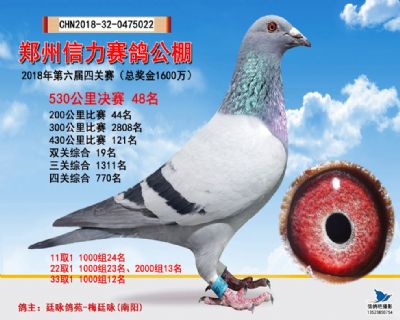 郑州信力决赛48名