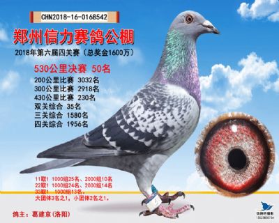 郑州信力决赛50名