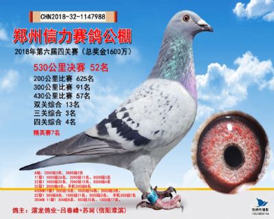 郑州信力决赛52名