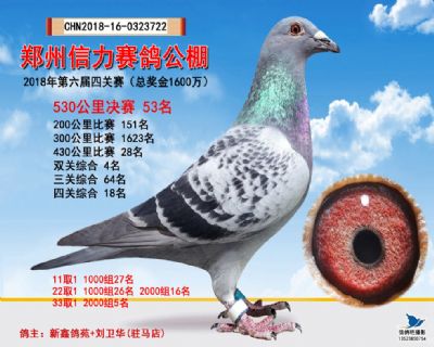 郑州信力决赛53名