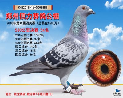郑州信力决赛54名
