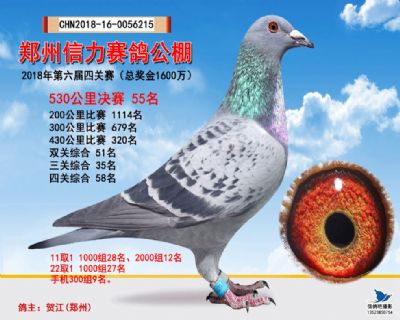 郑州信力决赛55名