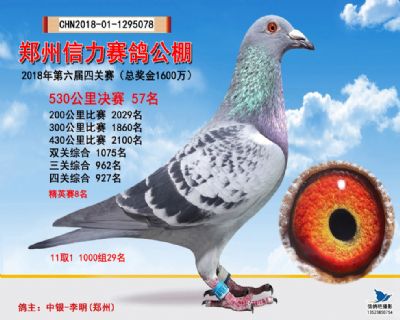 郑州信力决赛57名