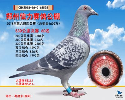 郑州信力决赛60名