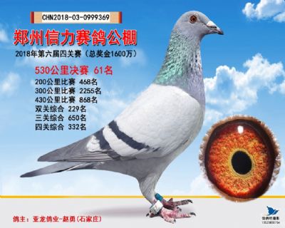 郑州信力决赛61名