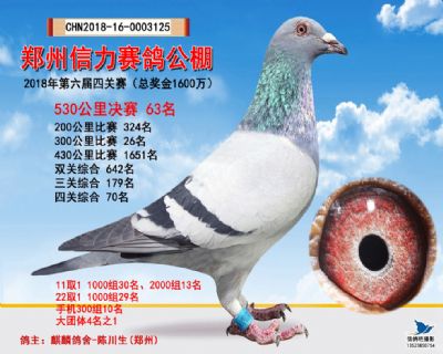郑州信力决赛63名