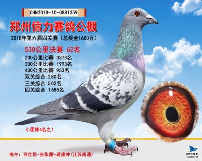 郑州信力决赛62名