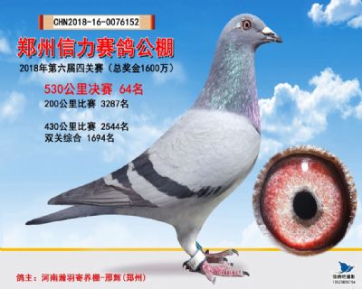 郑州信力决赛64名
