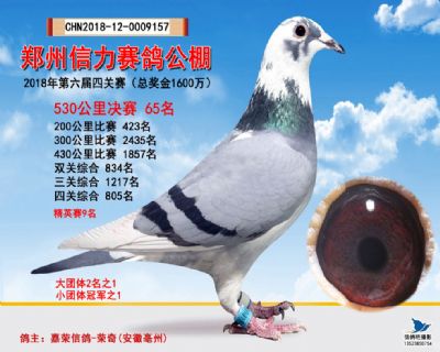 郑州信力决赛65名