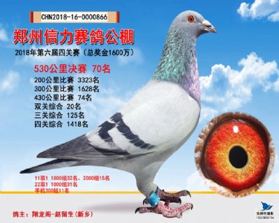 郑州信力决赛70名