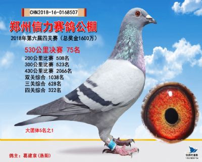 郑州信力决赛75名