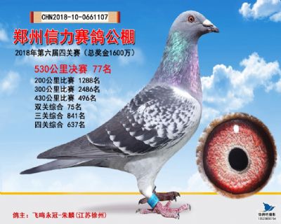 郑州信力决赛77名