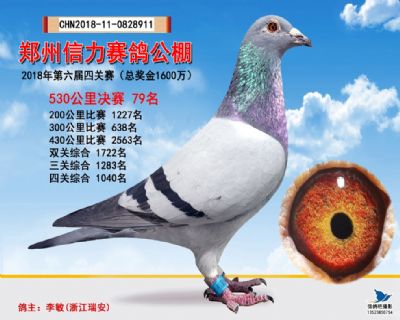 郑州信力决赛79名