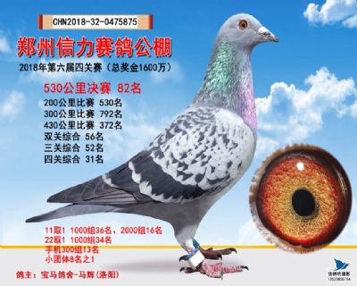 郑州信力决赛82名