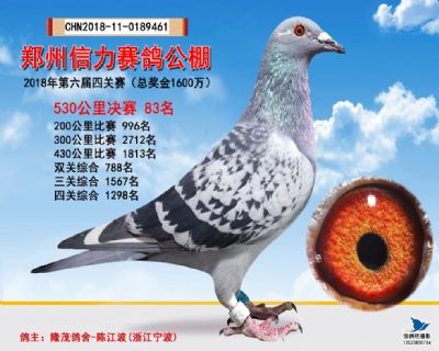 郑州信力决赛83名